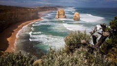 Landscapes sand Sea nature water Plants Australia cliffs 