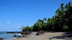 Landscapes sand stones nature sky serenity coast tropics palm 