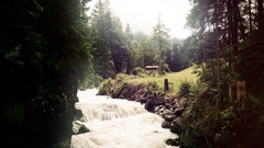 Landscapes sand Textures nature Trees grass water clouds 