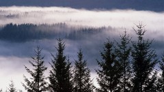 Landscapes Scotland highlands mist garry