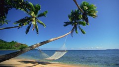 Landscapes Sea nature Fiji hammock