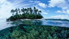 Landscapes Sea nature land Islands underwater split-view Papua 