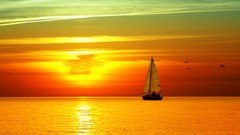 Landscapes Sea nature sky Birds horizon paths sailing vessel 