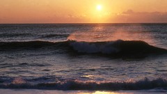 Landscapes Sea spray Florida Mexico gulf