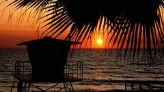 Landscapes Sea Station Florida silhouettes palm leaves