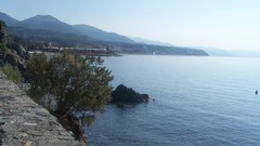 Landscapes Sea Trees Italy rocks liguria varazze