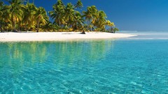 Landscapes Sea water ocean Cook Islands palm trees Beaches