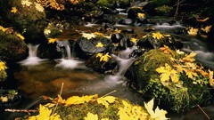 Landscapes seasons national park Tennessee change great smoky 