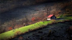 Landscapes serbia