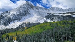 Landscapes snow autumn Colorado Range elk forests National West