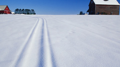 Landscapes snow houses