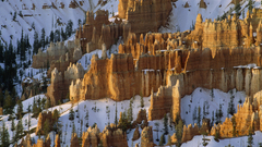 Landscapes snow Trees rocks
