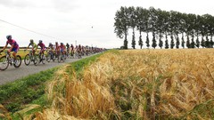 Landscapes Sports races cycling cycles