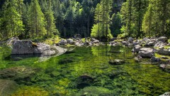 Landscapes stones nature Trees water Green Austria lagoon 