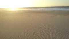 Landscapes sun beach sand