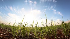 Landscapes sun clouds Green israel skies fisheye effect royba