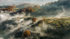 Landscapes sunrise fog nature Trees hills Green hk