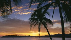 Landscapes sunrise nature costa rica playa