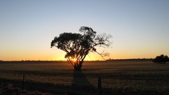 Landscapes sunrise nature land Australia countryside farmland 