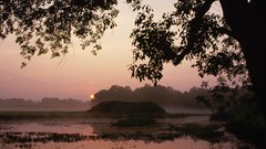 Landscapes sunrise nature Parks alabama