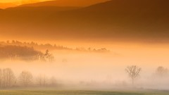 Landscapes sunrise nature Tennessee great smoky mountains cove