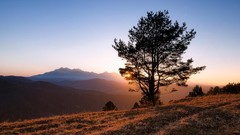 Landscapes sunrise nature Trees Mountains morning dawning