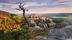 Landscapes sunset Flowers nature Trees yellow clouds Green 