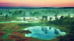Landscapes sunset fog nature Trees water Estonia puddles mist 