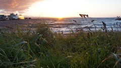 Landscapes sunset grass Beaches skies Sony NEX-C3 Redmond Beach 