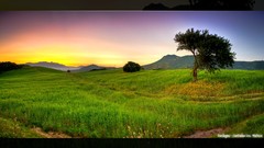 Landscapes sunset nature fields HDR Photography Photo 