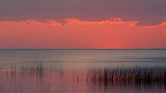 Landscapes sunset nature Florida dreamscape