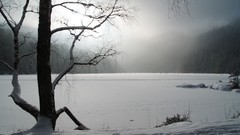 Landscapes sunset nature Trees grass snow winter sun Mountains 