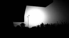 Landscapes sunset nature Trees gray sun black clouds black and 