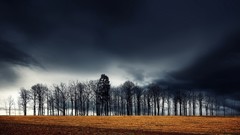Landscapes sunset nature Trees night Dark Clouds