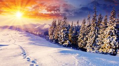 Landscapes sunset nature Trees snow winter Mountains clouds 
