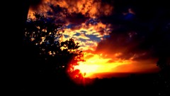 Landscapes sunset nature Trees sun clouds black and white 