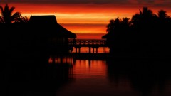 Landscapes sunset nature water coast palm trees Tahiti 