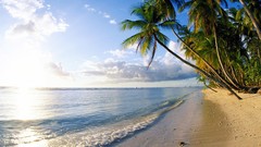 Landscapes sunset sand Sea nature Trees blue clouds white Green 