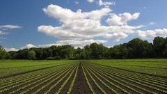 Landscapes symmetry farmland