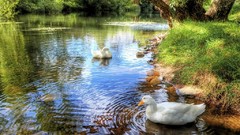 Landscapes tasmania 3D renders