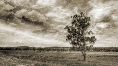 Landscapes tasmania 3D renders