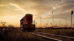 Landscapes trains outdoors railroad