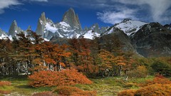 Landscapes Trees autumn national park argentina beech