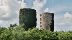 Landscapes Trees clouds abandoned forests silos