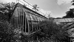 Landscapes Trees clouds black and white Garden monochrome 