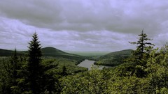 Landscapes Trees clouds forests Evergreen