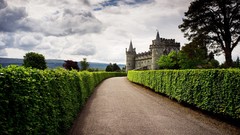 Landscapes Trees clouds Scotland United Kingdom roads 