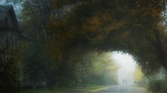 Landscapes Trees dawn autumn houses urban autumn leaves streets