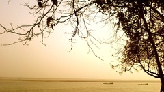 Landscapes Trees distance rivers