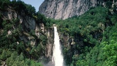 Landscapes Trees forests cliffs